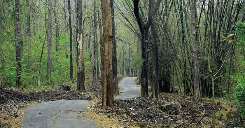 Thenmala Heritage Kollam Bagian luar foto
